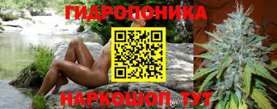 альфа пвп Краснознаменск